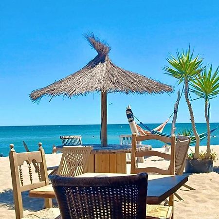 T3 Grande Terrasse Bord De Mer Le Barcarès エクステリア 写真