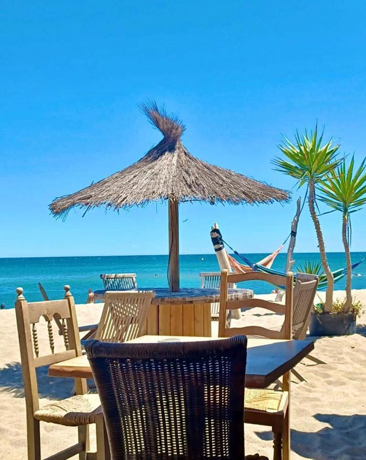 T3 Grande Terrasse Bord De Mer Le Barcarès エクステリア 写真